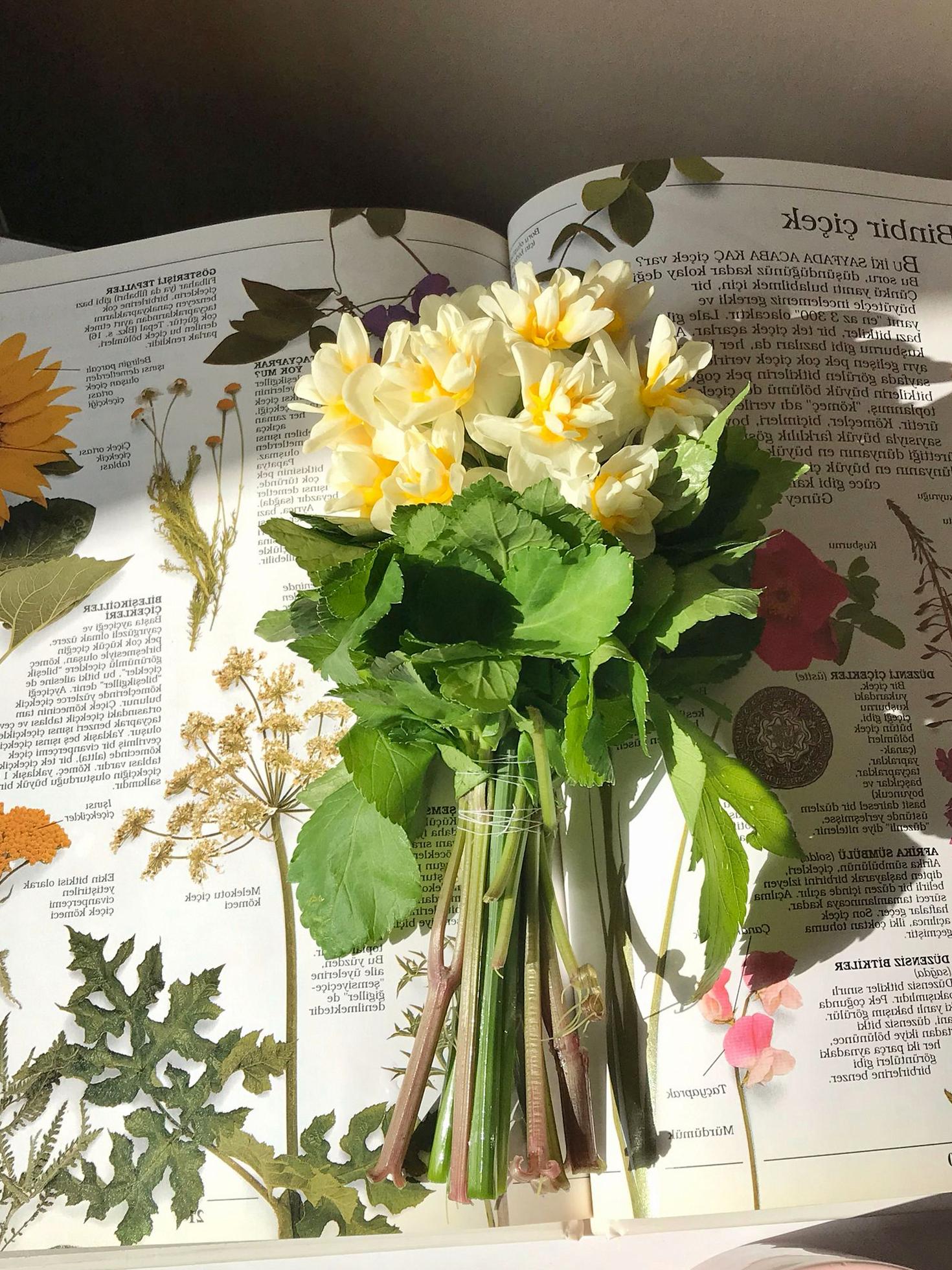 Basiscursus Bloemschikken